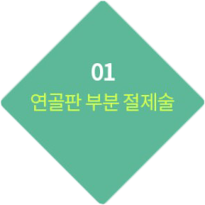 01 연골판 부분 절제술