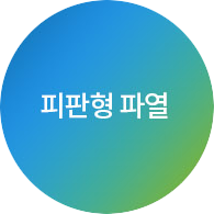 피판형 파열