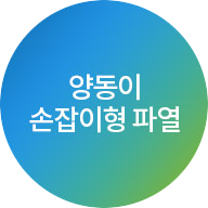 양동이 손잡이형 파열