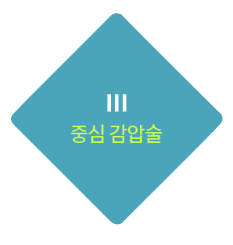 III기 중심 감압술