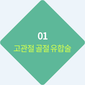 01 고관절 골절 유합술