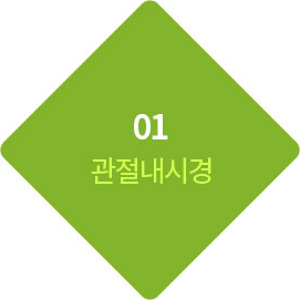 01 관절내시경