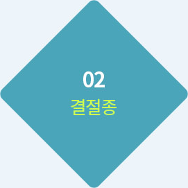 02 결절종