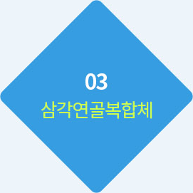 03 삼각연골복합체