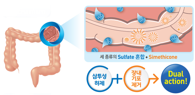 대장에서 삼투성 하제와 장내 기포 제거가 함께 작용하는 대장내시경 알약 원리 도식