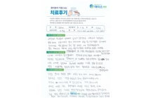 디스크/인공디스크치환술