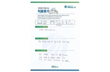 디스크/인공인대삽입 연성고정술