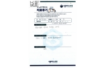 내시경적 추간판 절제술