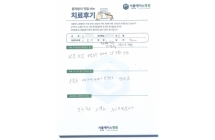 인공디스크 치환술